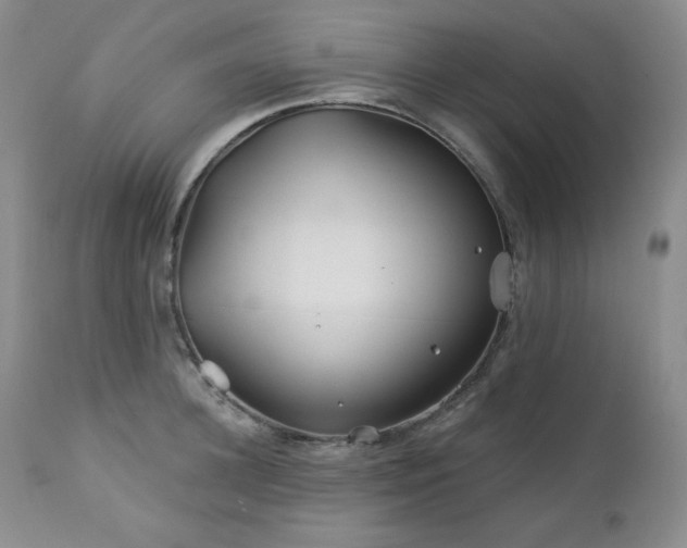 X0000113120948200908281434