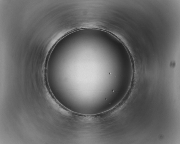 X0000113120949200908281434