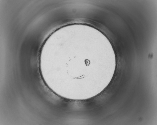 X0000113120950200908281434