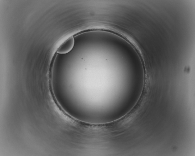 X0000113120951200908281434