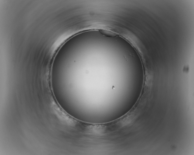 X0000113120952200908281435