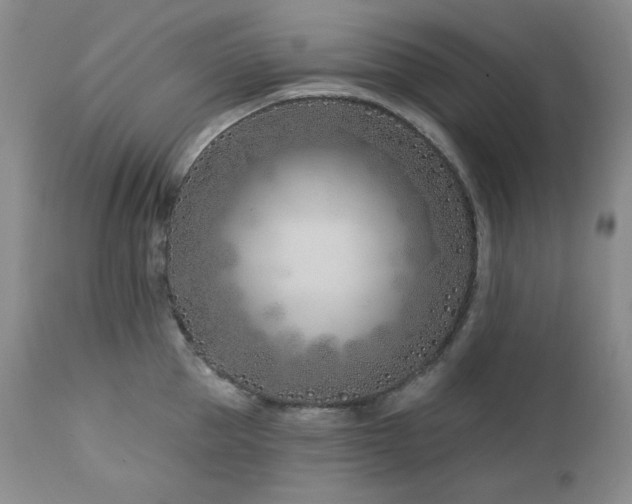 X0000113120953200908281435