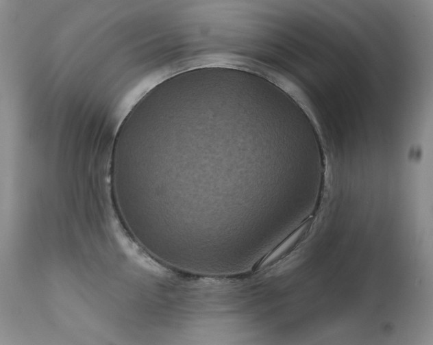 X0000113120954200908281435