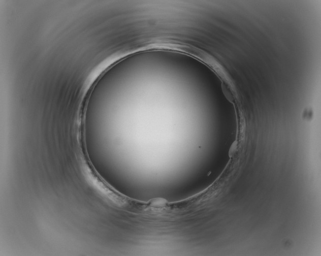 X0000113120955200908281435