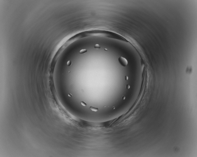 X0000113120956200908281435