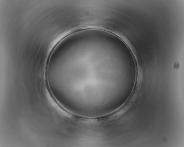 X0000113120957200908281435