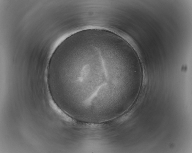 X0000113120958200908281435