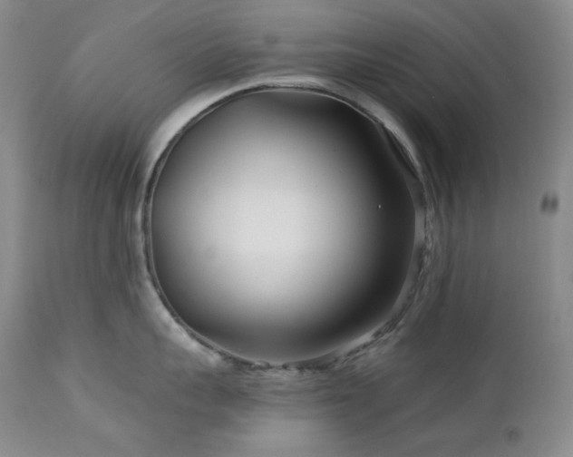 X0000113120959200908281435