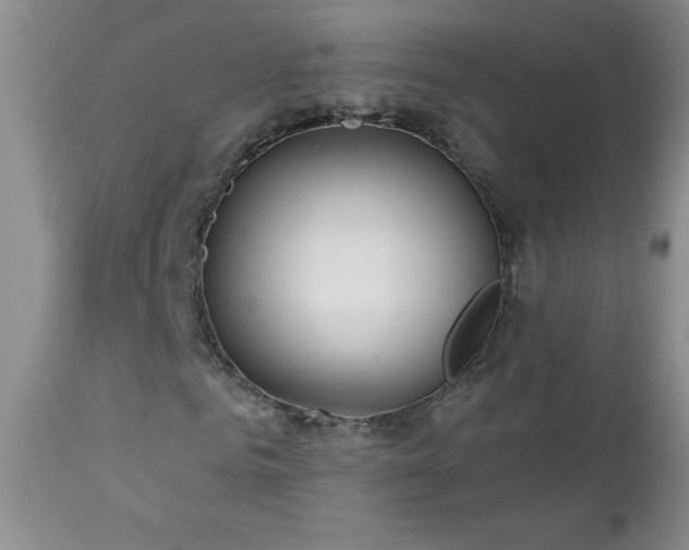 X0000113120961200908281434