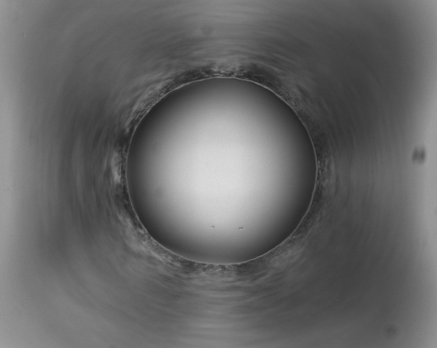 X0000113120962200908281434