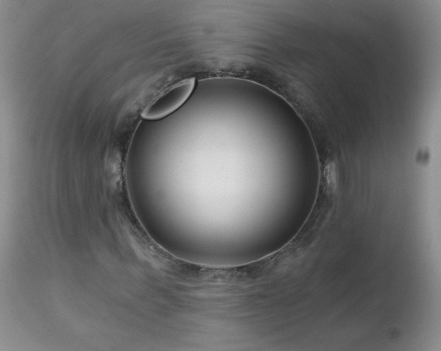 X0000113120963200908281434