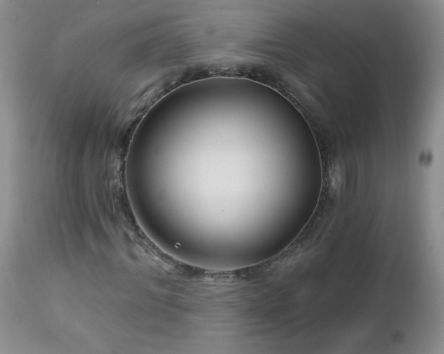 X0000113120964200908281434