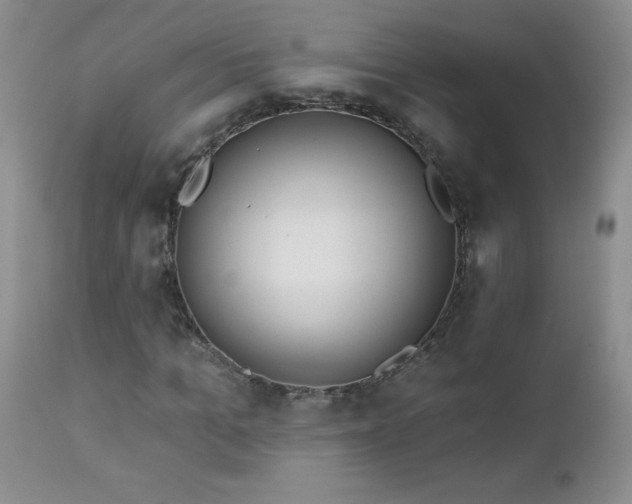 X0000113120965200908281434