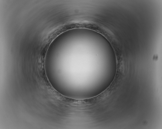 X0000113120966200908281434