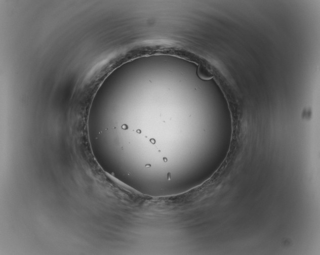 X0000113120967200908281434