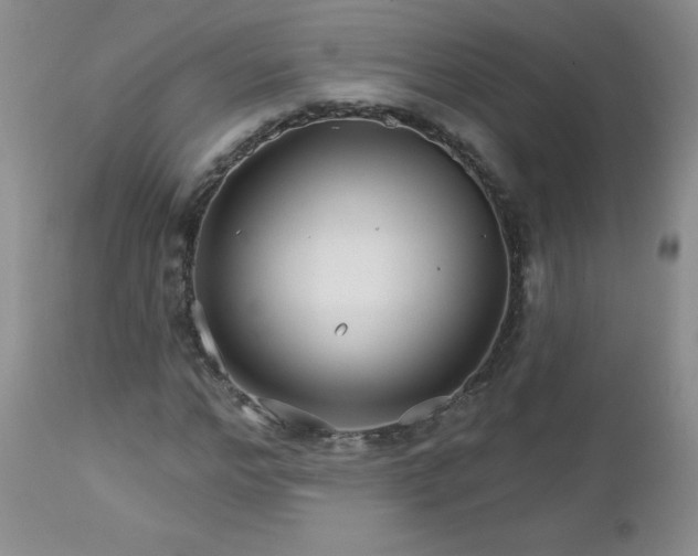 X0000113120968200908281434