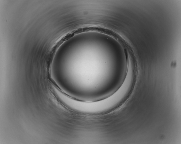 X0000113120969200908281434