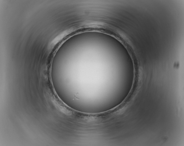 X0000113120970200908281434