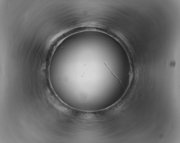 X0000113120971200908281434