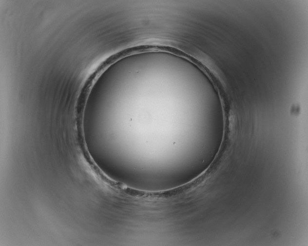 X0000113120972200908281434