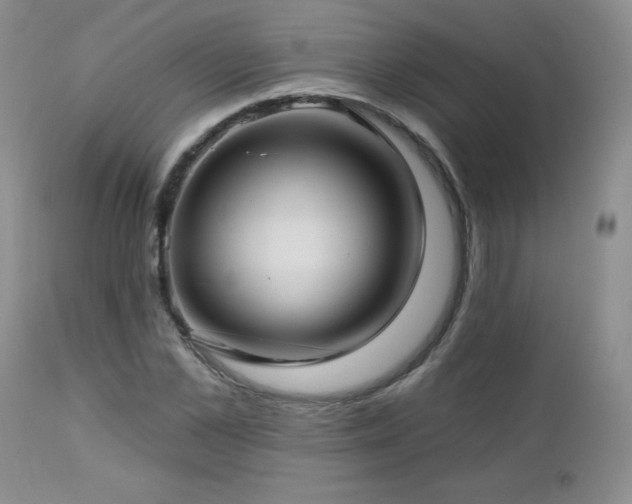 X0000113120973200908281434