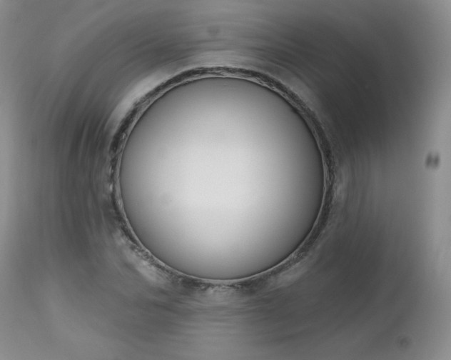 X0000113120974200908281434