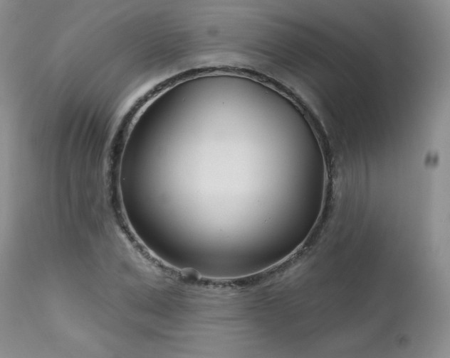 X0000113120975200908281434