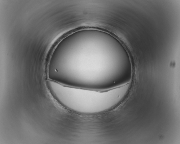 X0000113120976200908281434