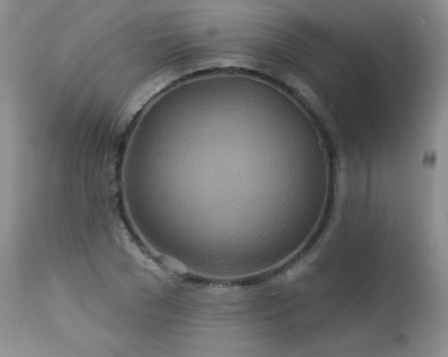 X0000113120977200908281434