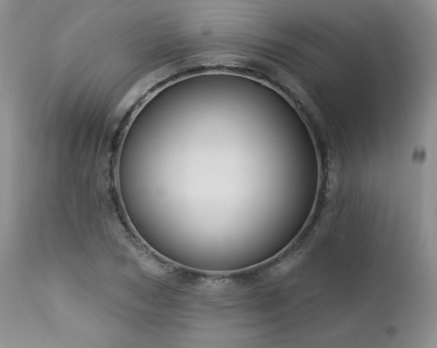 X0000113120978200908281434