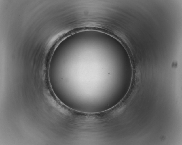 X0000113120979200908281434