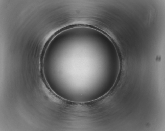 X0000113120980200908281434