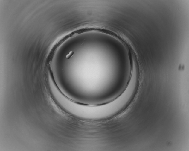 X0000113120981200908281434