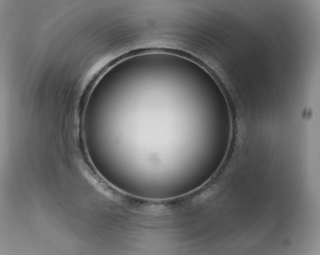 X0000113120982200908281434