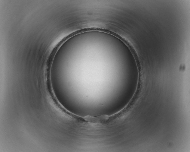 X0000113120983200908281433