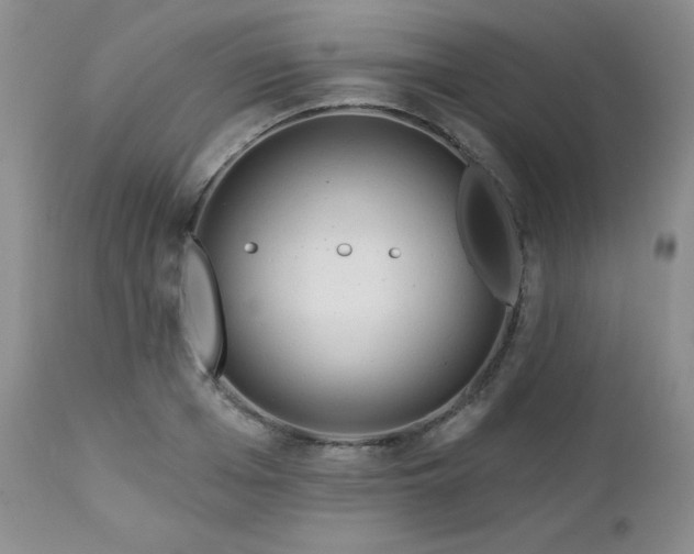 X0000113120985200908281433