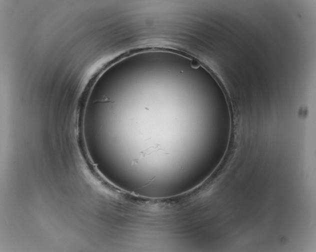 X0000113120987200908281433