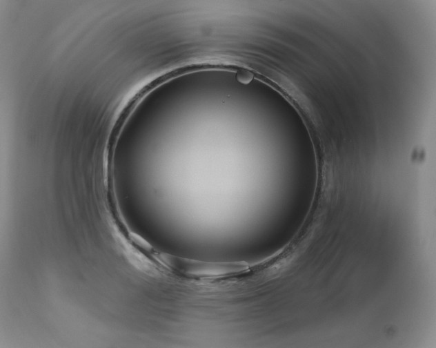 X0000113120988200908281433