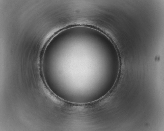 X0000113120990200908281433