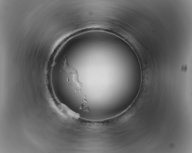 X0000113120991200908281433