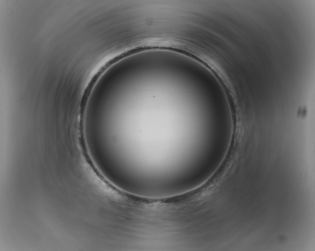 X0000113120992200908281433