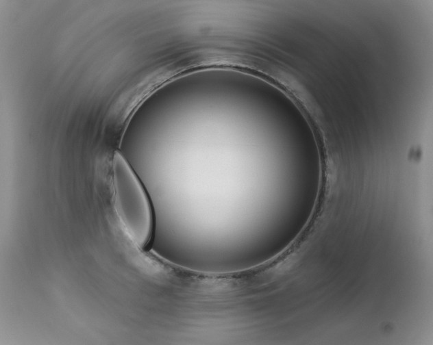 X0000113120993200908281433