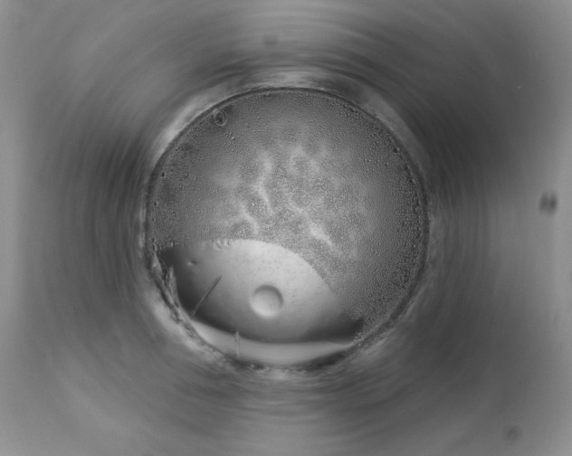 X0000113120994200908281433