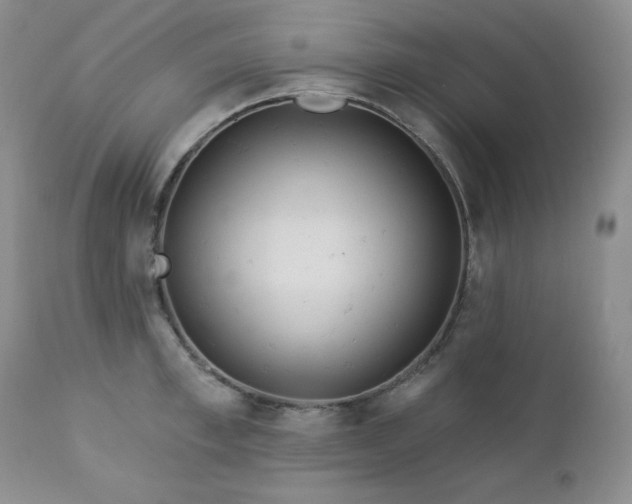 X0000113120997200908281433