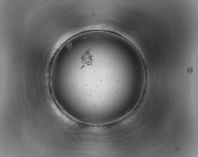 X0000113120998200908281433