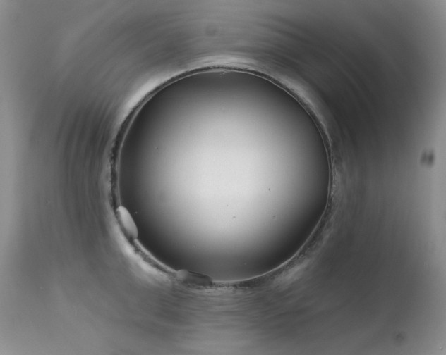 X0000113120999200908281433