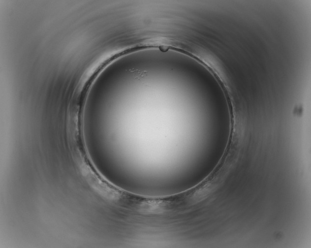 X0000113121000200908281433