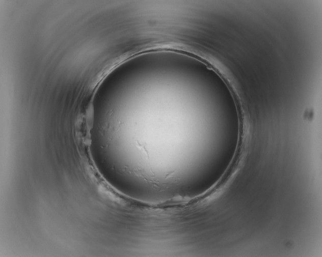 X0000113121001200908281433