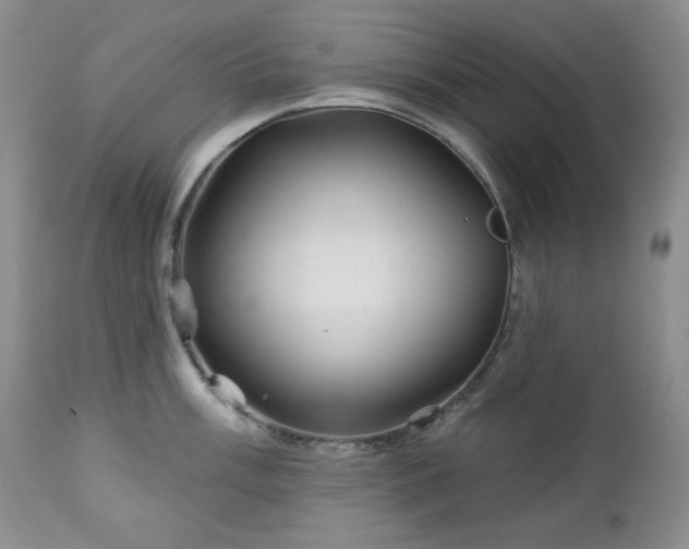 X0000113121003200908281433