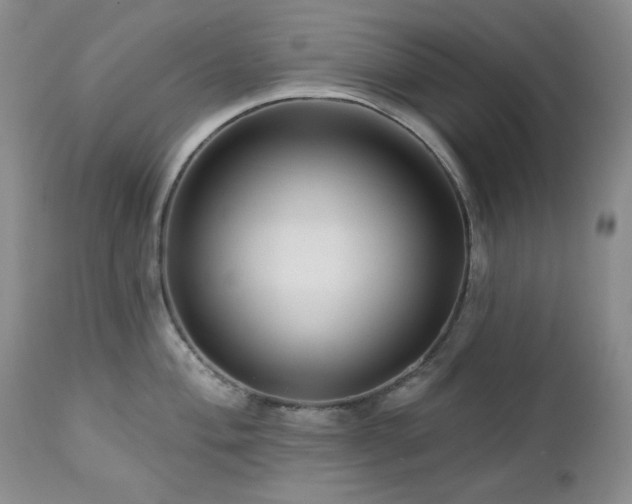 X0000113121004200908281433